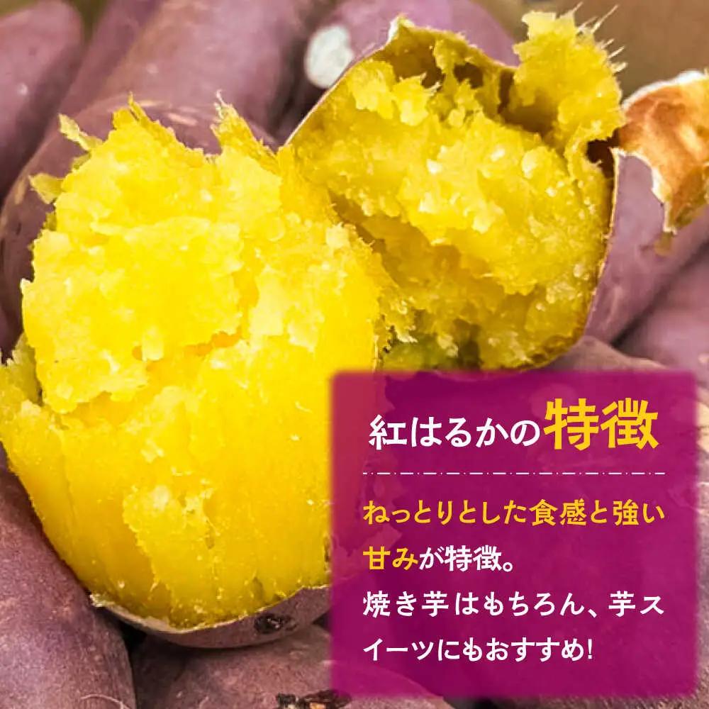 【お試し】【ねっとり甘い熟成サツマイモ】冷凍焼き芋（紅はるか） 4本(S-M) / さつまいも やき芋 冷凍 小分け 個包装 冷やし焼き芋 / 南島原市 / 池田海陸物産 [SEW005]