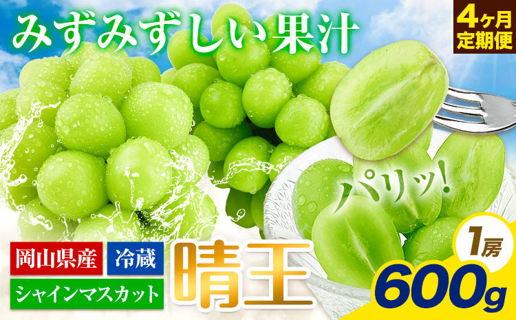 【2025年先行予約】ぶどう 4ヶ月 定期便 シャインマスカット 晴王 600g 岡山県産《7月上旬-10月末頃出荷》 ハレノフルーツ マスカット 送料無料 岡山県 浅口市 フルーツ 果物 国産 岡山県産【配送不可地域あり】（北海道・沖縄・離島）---124_c1102tei_7j10m_24_93000_jul4---