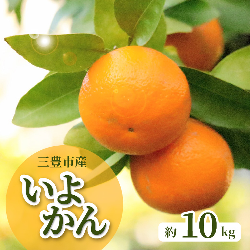 M02-0094_三豊市産いよかん 約10kg