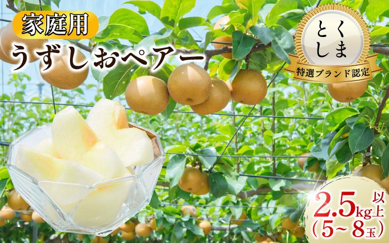 【2026年先行予約】梨 なし ご家庭用 2.5kg以上 5〜8玉 2026年 8月順次発送 うずしおペアー 果物 フルーツ デザート 旬 新鮮 季節 秋 人気 おすすめ ギフト プレゼント 贈答 贈り物 家庭用 期間限定 送料無料 鳴門 徳島