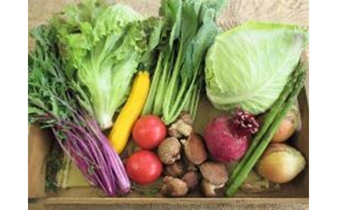旬の野菜・定期便（3か月）【配達不可：北海道・沖縄・離島】