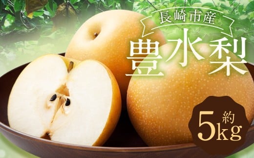 豊水梨 5kg  【2025年8月下旬～9月上旬迄発送予定】 ／ 梨 なし 和梨 果物 果実 フルーツ 国産 九州 長崎県 長崎市 常温 オンライン決済限定