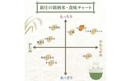 令和7年産 コシヒカリ 5kg×2 計10kg 精米 【最上ノ米蔵】 山形県産 こしひかり こめ 米 白米 F3S-2686