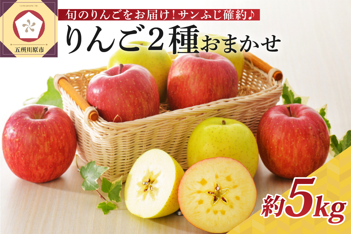 
【選べる配送時期】 りんご 青森産 約5kg サンふじ 確約 品種おまかせ2種以上 贈答用 特選～特秀
