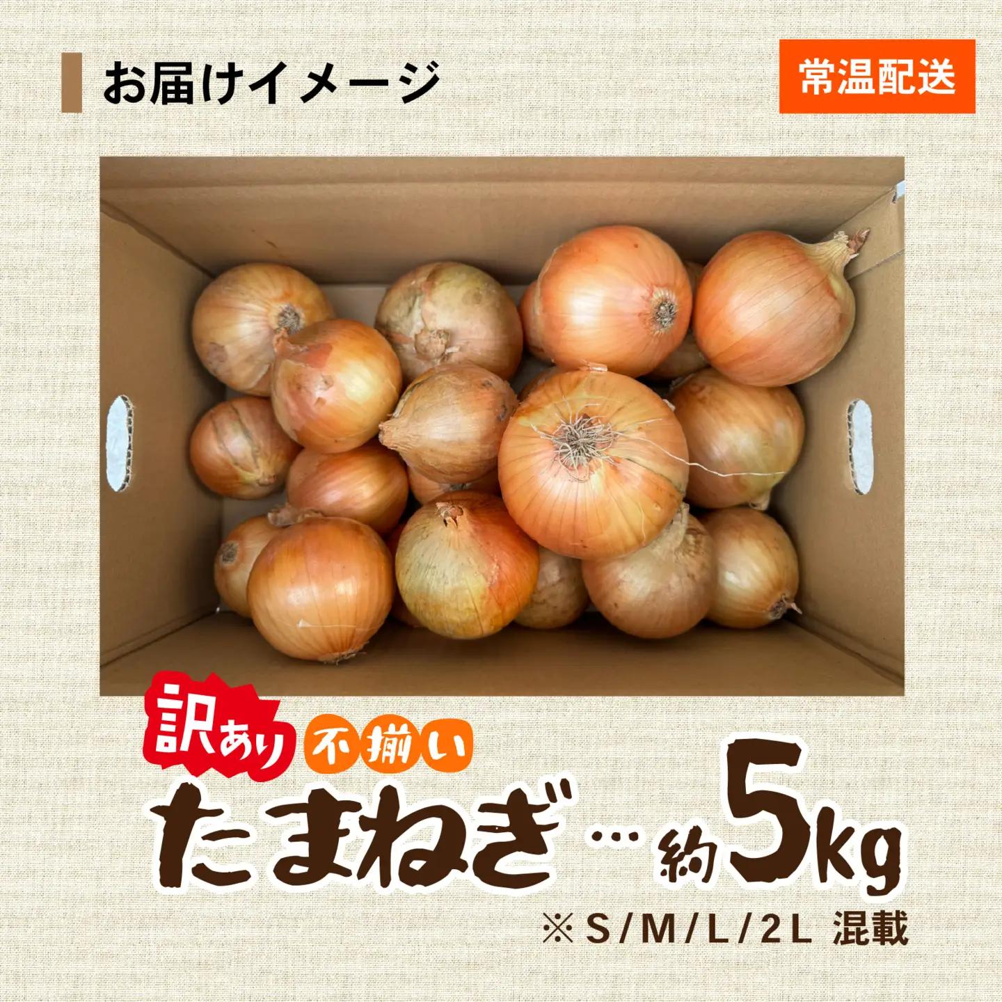 玉ねぎ 5kg 訳あり 淡路島  / 玉ねぎ