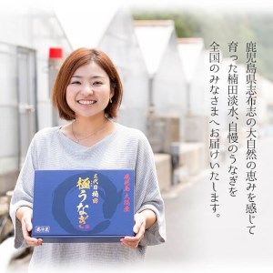 a0-166 楠田の極うなぎ 素焼き焼肝(50g×5袋・たれ付き)