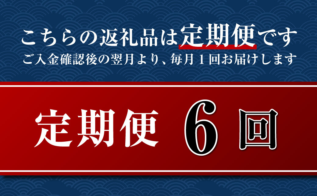 【全6回定期便】長崎五島灘一汐干し 合計12枚