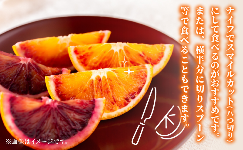 準 贈答用 ブラッドオレンジ タロッコ 5kg 矢野青果 先行予約 オレンジ みかん 柑橘 果物 くだもの オレンジフルーツ フルーツ 濃厚 甘い 甘味 蜜柑 準贈答用 贈答品 贈答 ギフト プレゼン