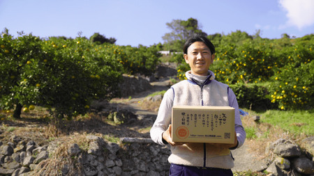 先行予約 宇城市産 温州みかん 約5kg【2026年12月上旬-2027年1月下旬発送予定】うちやま果樹園