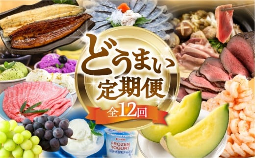 【おまかせ】穂の国の恵み どうまい 定期便 全12回 おまかせコース ( 餃子 むき えび うなぎ おでん 鴨鍋 かも鍋 うなぎ メロン ジェラート フローズンヨーグルト ) ご当地 人気 名産品 頒布会 豊橋