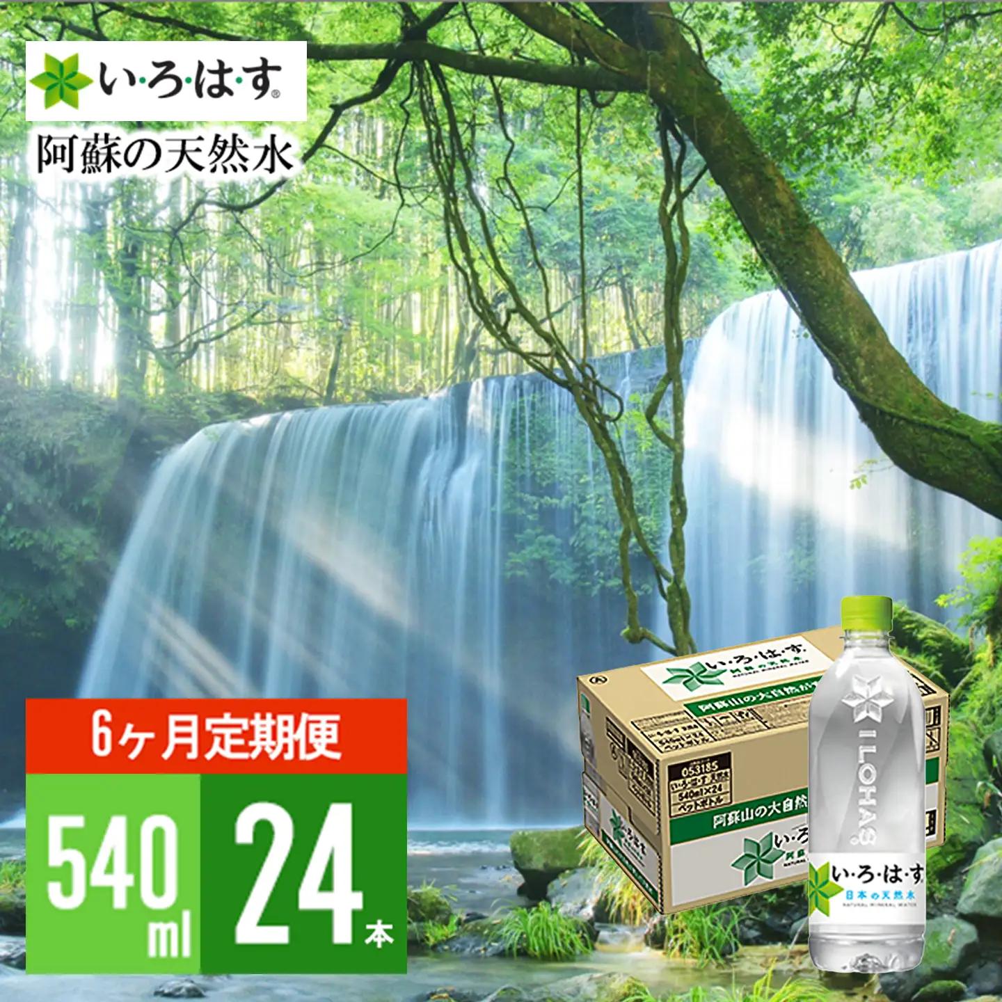 【学びやの里】6回 定期便 い・ろ・は・す 阿蘇の天然水 540ml 24本 1ケース 6ヶ月 計144本 いろはす ILOHAS コカ・コーラ ナチュラルミネラルウォーター 国内ミネラルウォーター 天然水 ミネラルウォーター 地下水 鉱水 九州 熊本 阿蘇 常温配送