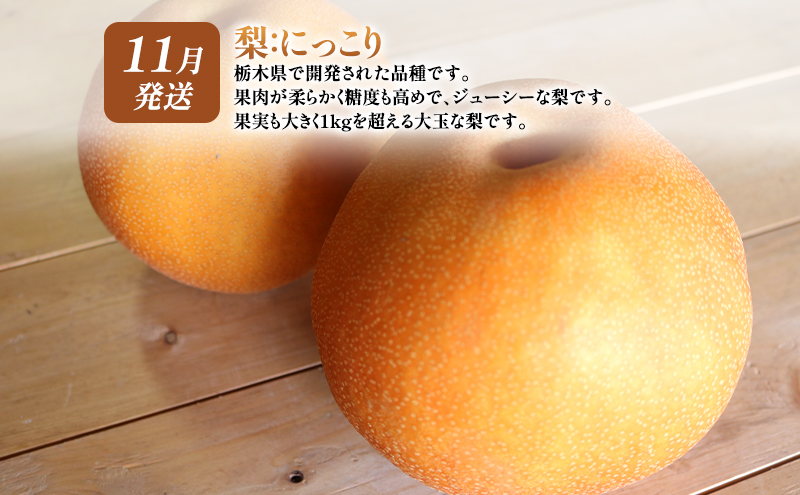 【 定期便 2回 】 大玉な梨 にっこり 2玉 約2kg と いちご市 鹿沼の 美味しい 「い」「ち」「ご」 とちあいか 15粒入り260g 2パック のフルーツ 定期便【発送予定】 11月 2月 梨