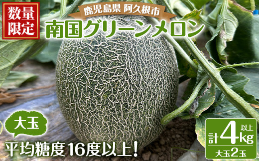 ＜先行予約受付中！2025年7月上旬以降順次発送予定＞数量・期間限定！厳選摘果！南国グリーンメロン(大玉2個) 国産 めろん フルーツ 果物 青果 温室 大玉果 デザート 夏 旬 【春田幸一】a-15-18-z