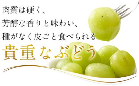 ぶどう 2024年 先行予約 黒川農園 自慢 ! の 大粒 大房 シャイン マスカット 2房 （1房 800g以上） ブドウ 葡萄  岡山県産 国産 フルーツ 果物 ギフト [No.5220-0582