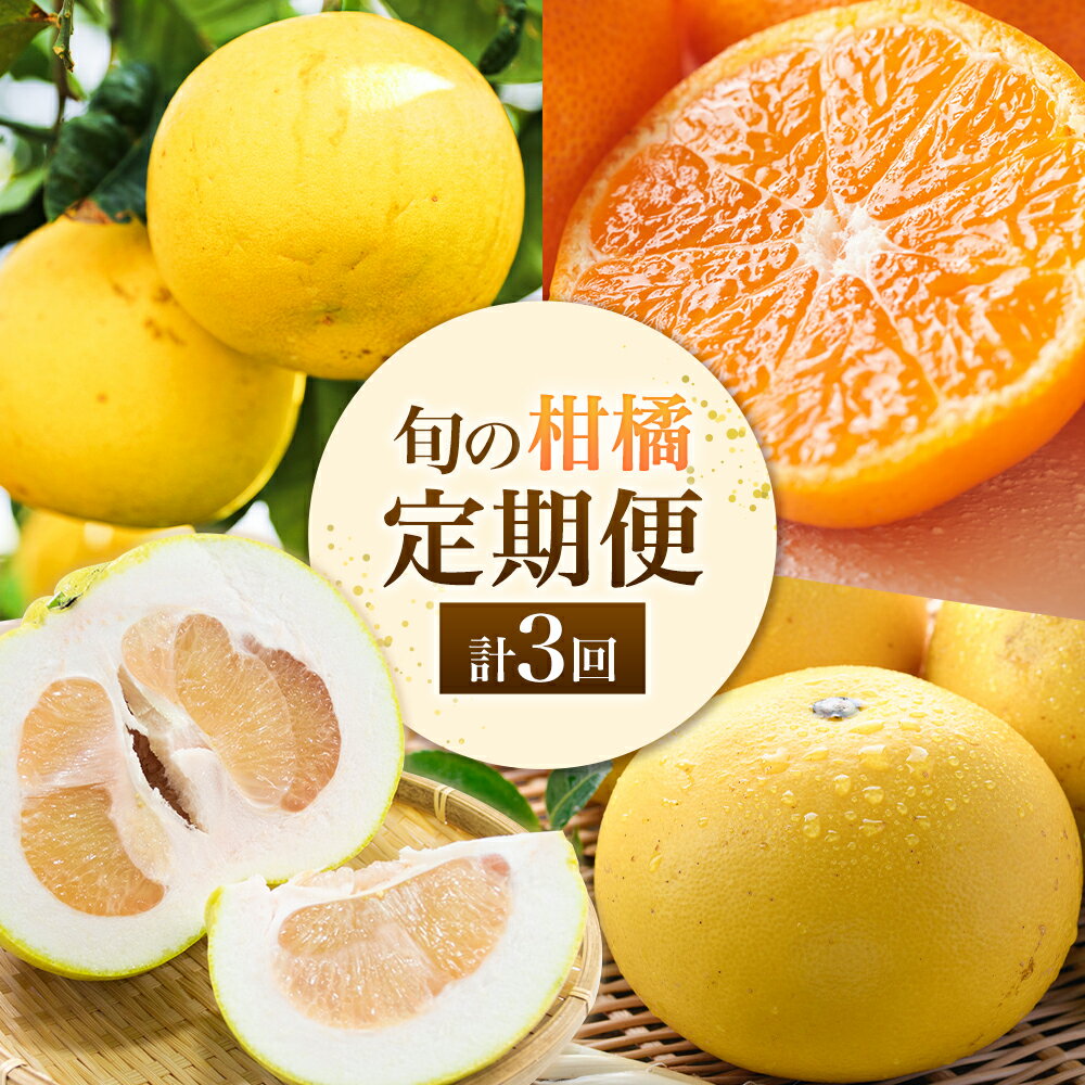 【ふるさと納税】旬の柑橘定期便 山本果樹園 旬のみかん 約5kg パール柑 約5kg 晩白柚 2玉（Lサイズ）《2026年11月上旬-2月下旬頃出荷》果物 フルーツ ザボン 熊本県 特産品
