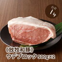 【ふるさと納税】≪放牧和豚≫ウデブロック 500g×2 【合計1kg】 - 豚肉 ウデ ブロック かたまり肉 小分け 豚ブロック 豚肉ブロック うで 豚ウデブロック ウデ肉 冷凍 国産豚肉 パイオニアポーク ブロック肉 こだわり 送料無料 【宮崎県木城町】