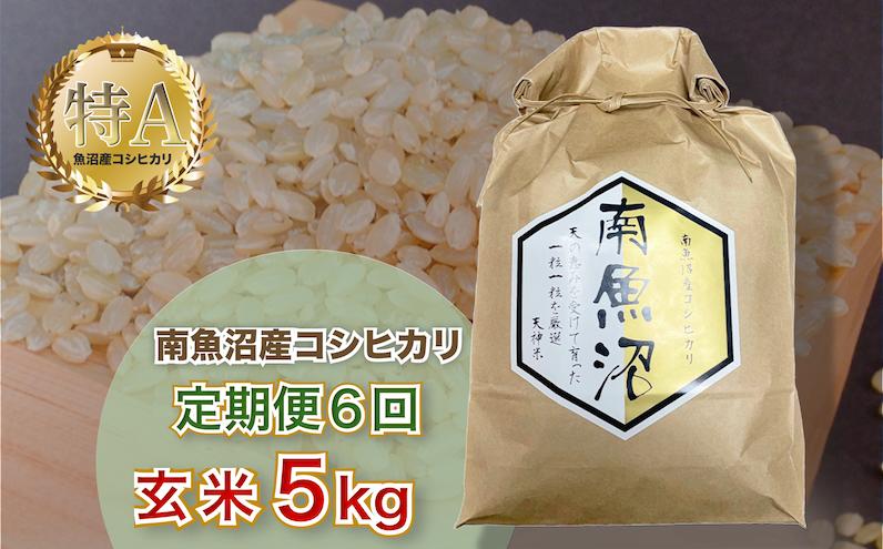 
令和6年産 6ヶ月定期便 【玄米5㎏/6回】「越後湯沢産」【湯沢産コシヒカリ】
