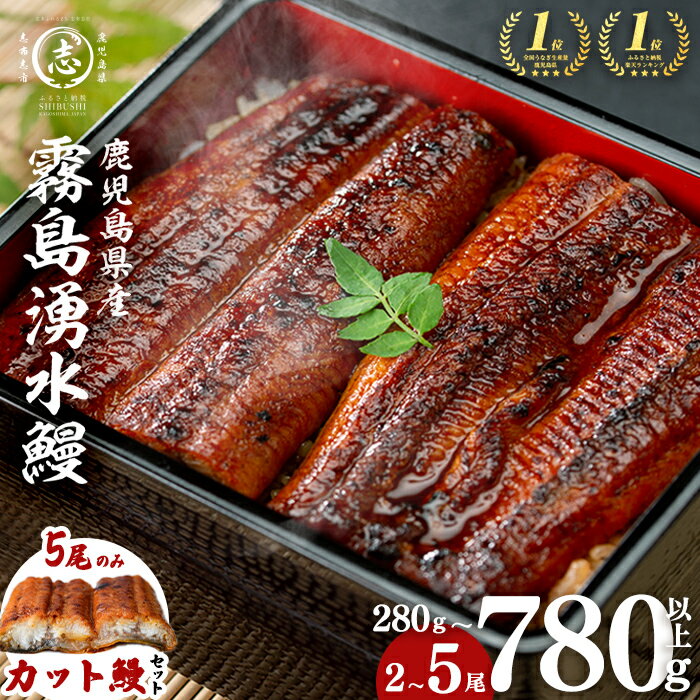 うなぎ生産量日本一の鹿児島県！山田水産の霧島湧水鰻 160g以上×5尾＜計800g以上＞