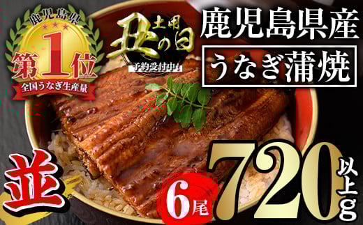＜丑の日先行予約受付中！＞無投薬！鹿児島県産うなぎ蒲焼セット＜並＞(計720g以上・ 約120g×6尾) タレ・山椒付き 鰻 ウナギ 国産【西日本養鰻】A732