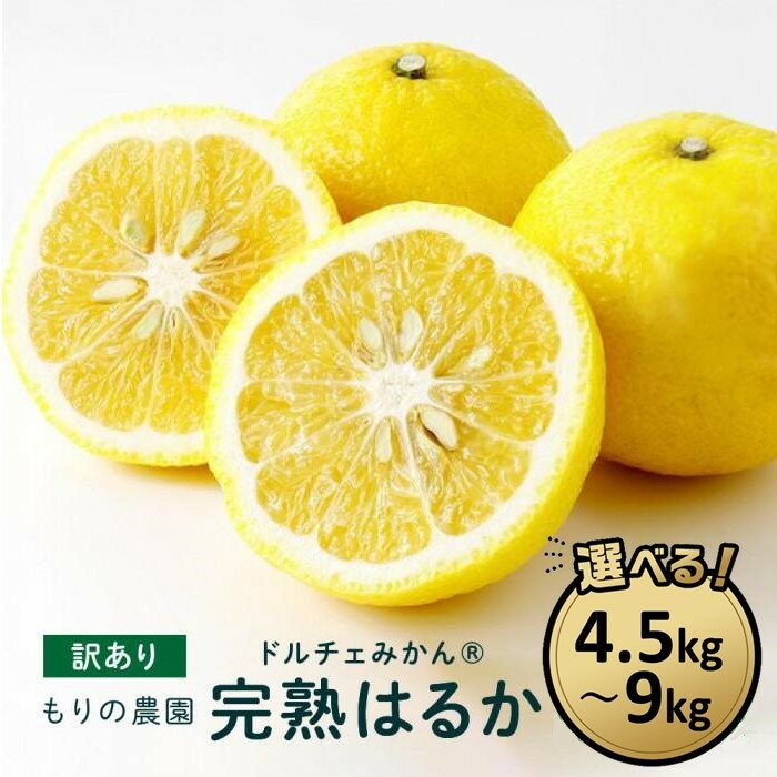 【ふるさと納税】【訳あり】完熟はるか 選べる!! 4.5kg～9kg ドルチェみかん 2026年2月中旬より発送予定