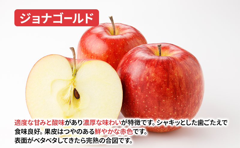盛岡から「農で人をつなぐ」藤与果樹園：《訳アリ》ジョナゴールド5kg  訳アリ 不揃い 傷 規格外 フルーツ 果物 旬のフルーツ 旬の果物 旬 冬 岩手 盛岡 産地直送 玉数指定不可 詰め合わせ 岩手