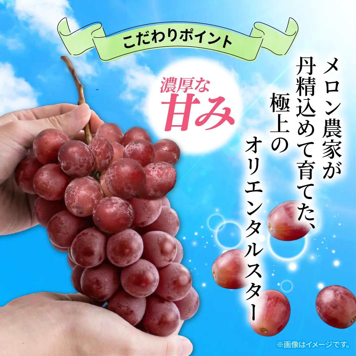 訳あり ぶどう オリエンタルスター 2房 900g 以上 数量限定 種なし ぶどう