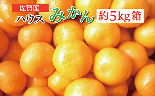 
            甘味が高く酸味が少ない ハウス みかん 佐賀産 約 5kg 箱 | ハウスみかん 人気 佐賀県産 箱 _c-103
          