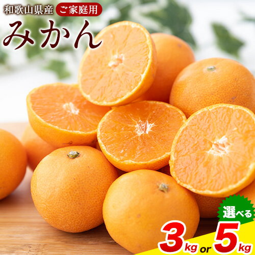 【ふるさと納税】【訳あり/ご家庭用】先行予約 和歌山県産 みかん 約3kg 約5kg【サイズ混合】 サンファーム《2025年10月上旬-1月下旬頃出荷》和歌山県 紀の川市【楽天限定】