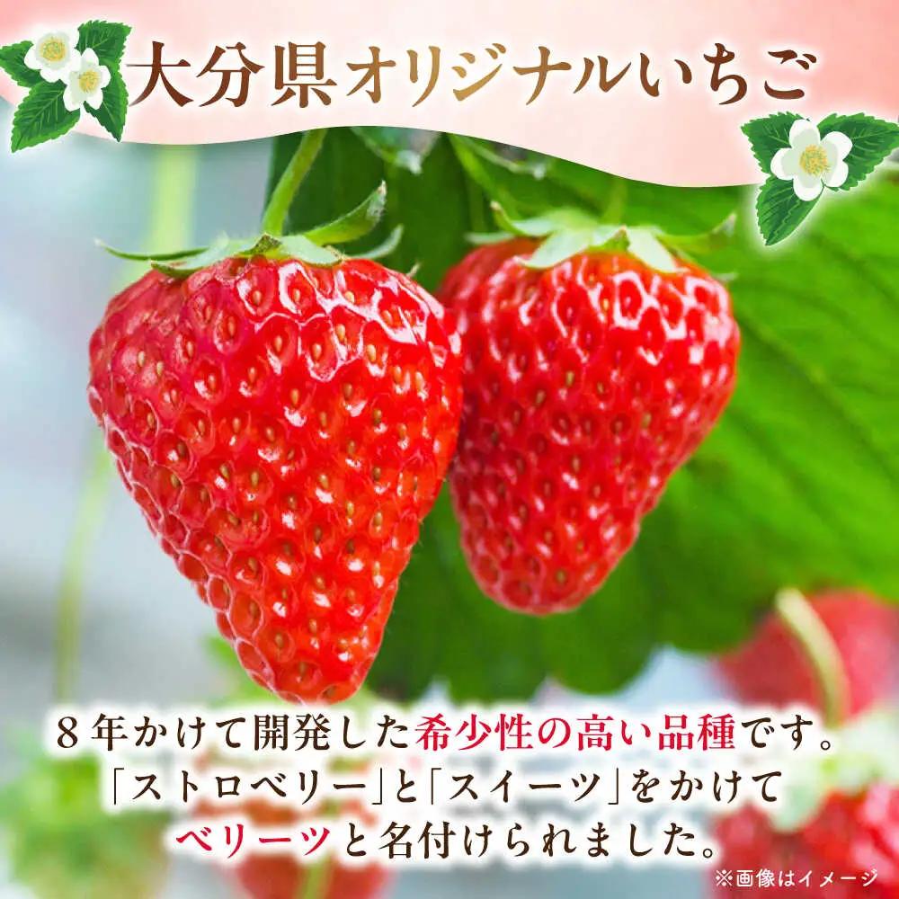 ベリーツ 平大玉 約270g×2パック  日田市[AREU001] べりーつ 苺