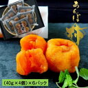【ふるさと納税】あんぽ柿　(40g×4個)×6パック【1373047】