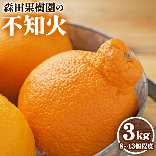 【ふるさと納税】【先行予約】森田果樹園の不知火 3kg 8〜13個程度《2月中旬-4月下旬頃出荷》森田果樹園 果物 フルーツ 柑橘 熊本