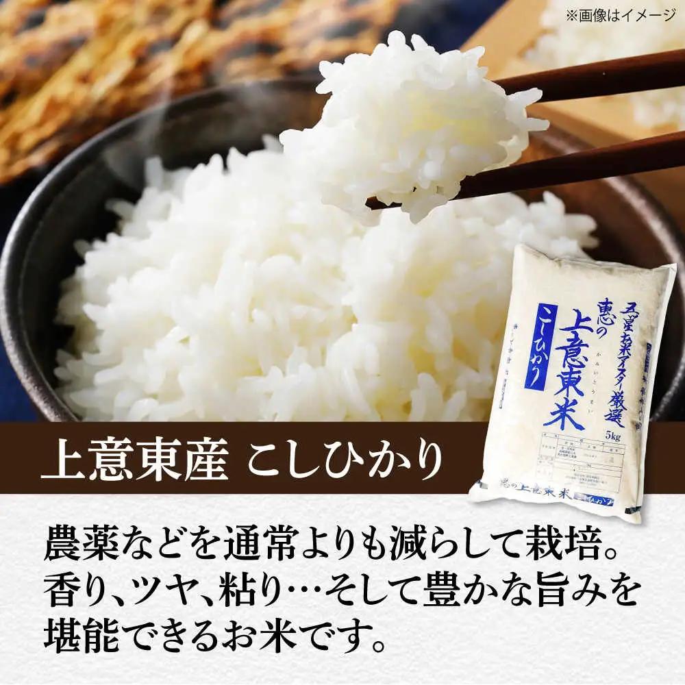 【定期便 5kg 6回】 白米 コシヒカリ 令和7年 計 30キロ | 島根県 松江産 コシヒカリ
