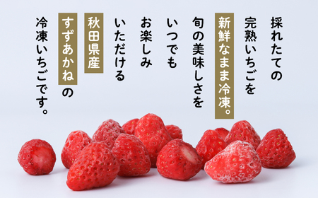 《 訳あり 》 冷凍いちご 食べきり 規格外 不揃い 完熟 国産 採れたて 20袋 真空 個包装 バラ冷凍 ヘタなし 葉なし 冷凍 選べる いちご 苺 人気 送料無料【フルーツパークDETO】