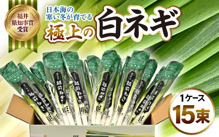 極上の白ネギ 1ケース (15束) ねぎ 長ねぎ 野菜 [A-2605]
