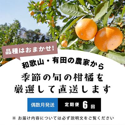 ふるさと納税 美浜町 【発送月固定定期便】季節の柑橘定期便B【フルーツ定期便】【和歌山県有田】全6回 |  | 01