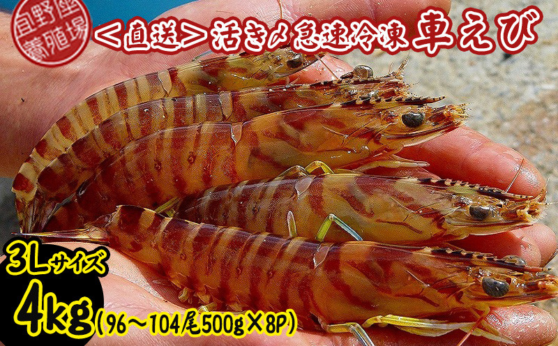 
            【養殖場から直送】活き〆急速冷凍車えび　3Lサイズ　約4kg（96～104尾/500g×8P） 車海老 海鮮 魚介類 海産物 シーフード お取り寄せ 美味 料理 クルマエビ くるまえび 塩焼き フライ 天丼 お刺身 フリット 蝦 ゆで 送料無料 沖縄県産 送料無料
          