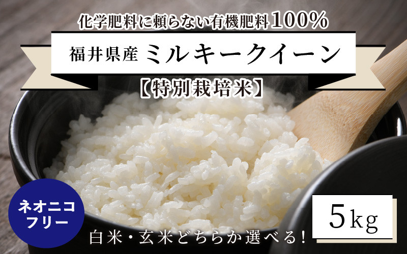 
            【先行予約】【令和7年産・新米】【特別栽培米】福井県産 ミルキークイーン 5kg ～化学肥料にたよらない 有機肥料100%～ ネオニコフリー 【2025年10月上旬以降順次発送予定】 [A-13404]
          