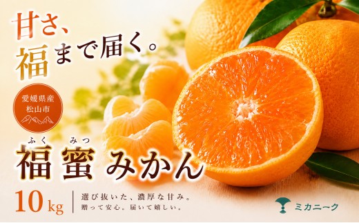 【いま注目されています】 濃密な甘さ 【 福蜜 みかん 】 10kg 愛媛県産 【2026年11月上旬頃から順次発送】 | 温州みかん ミカン mikan みかん 蜜柑 訳ありフルーツ 柑橘 果物 おすすめ お勧め お取り寄せ ギフト 愛媛県 松山市