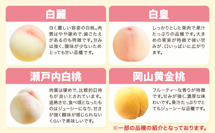 【2025年先行予約】岡山の桃食べ比べ定期便3回コース 株式会社山博 (中本青果)《2025年7月上旬-9月下旬頃出荷》岡山県 浅口市 桃 もも フルーツ 旬 果物 国産 岡山県産 送料無料 冷蔵 食