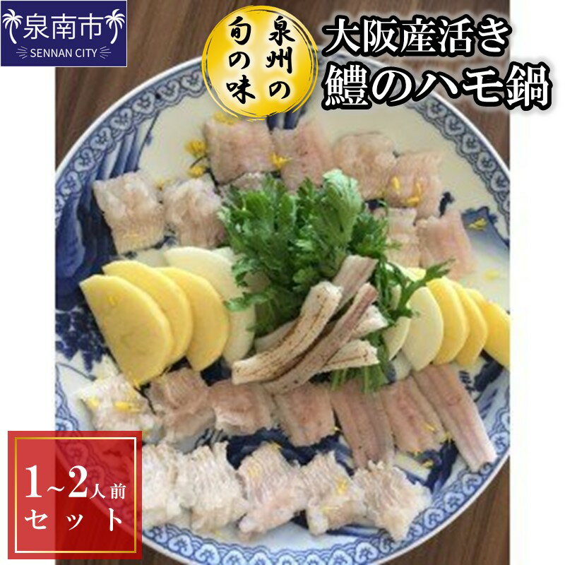【ふるさと納税】【泉州の旬の味】大阪産活き鱧のハモ鍋（1～2人前）セット【配送不可地域：北海道・沖縄・離島】