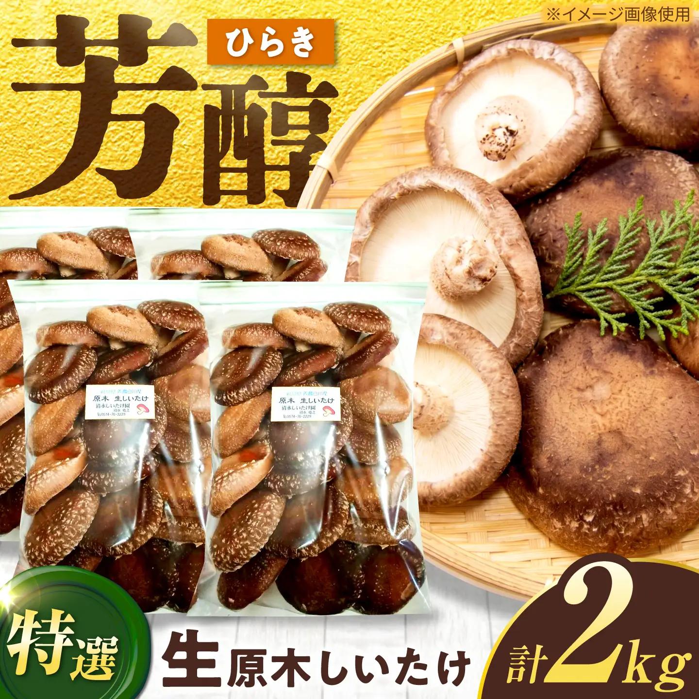 生しいたけ ひらき 2kg / 清水しいたけ園[AWAY007]椎茸