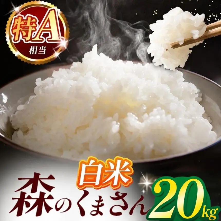 令和7年産 熊本県産 森のくまさん 白米 20kg 米 こめ