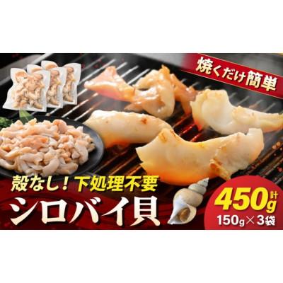 ふるさと納税 越前町 【先行予約】越前町産 天然 シロバイ貝むき身(加熱用・下処理済み)150g×3袋(計450g)