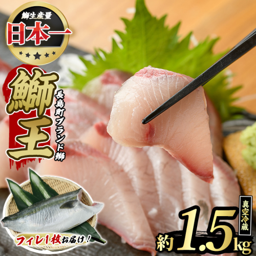 【先行予約】ぶりの王様「 鰤王 」 フィレ (約1.5kg・フィレ1枚) 産地直送 長島町特産品 ぶり 鰤 ブリ 切り身 真空 冷蔵 刺身 ぶりしゃぶ 人気 【JFA】jfa-1219