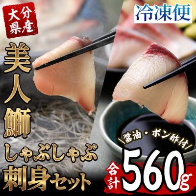 ふるさと納税 佐伯市 大分県産 美人鰤 刺身・しゃぶしゃぶセット