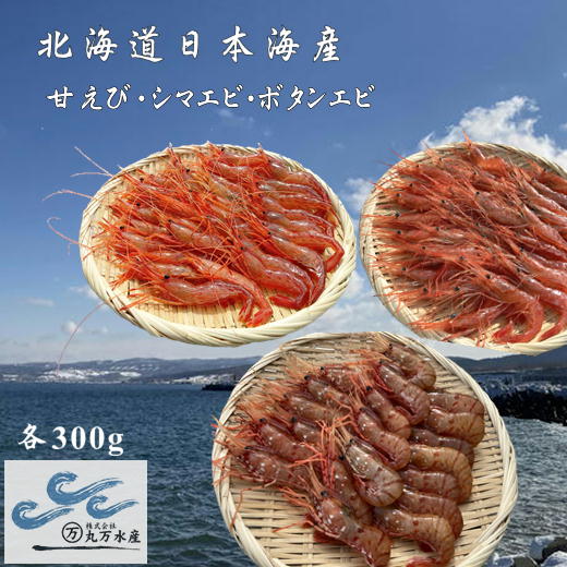 【ふるさと納税】7-022-011　えび3種セット(甘えび・ボタンエビ・シマエビ)　お届け：入金確認後、1週間～1ヶ月以内