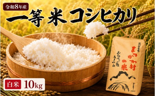 【令和8年産】一等米コシヒカリ 白米 10kg｜ファームいちまる 米 お米 こめ コシヒカリ こしひかり 白米 精米 玄米 長野県 松川村 北アルプス 信州 安曇野