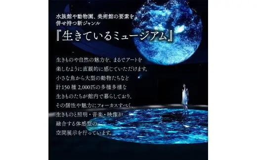 【3カ月ごとお届け】ニフレル入館券 大人2枚 全4回 