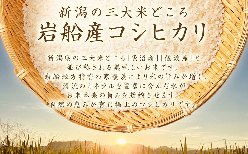 新潟県村上市岩船産 コシヒカリ6kg