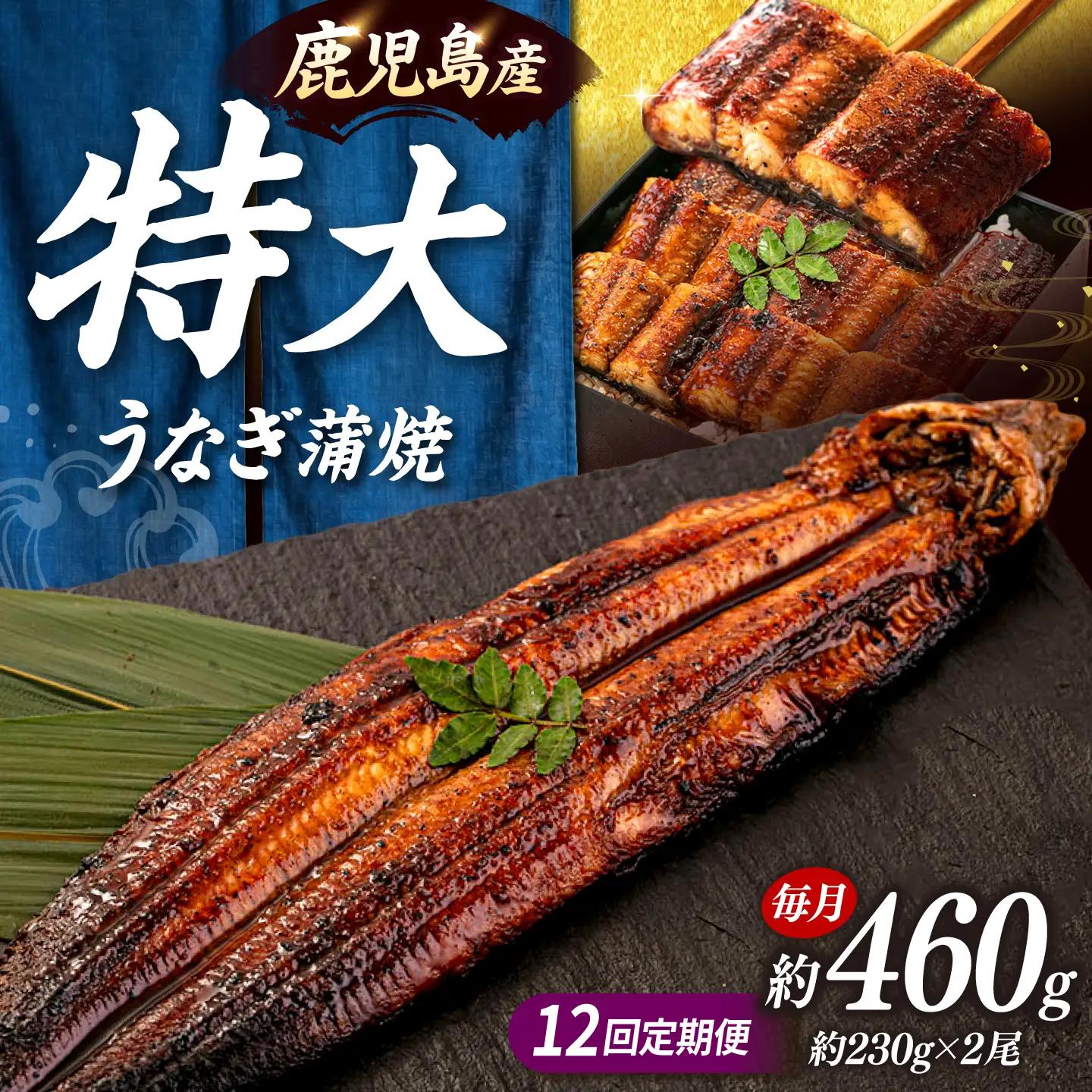 全12回定期便 特大！ 鹿児島産 うなぎ 蒲焼2尾セット 桂川町/山水商事 [ADAH014] ウナギ ウナギの蒲焼 ウナギ 国産ウナギ 定期便